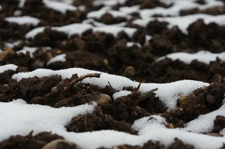 Как подготовить почву к зиме?