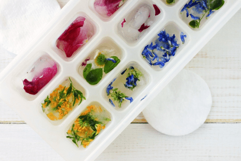 кубики льда из трав и цветов 