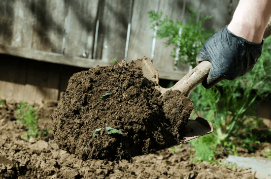 Осенняя перекопка почвы: польза или вред