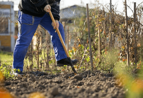 Нужно ли перекапывать огород осенью