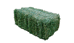 Луговое сено в тюках 2021г. (35x45x70 см)